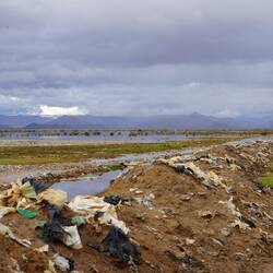 Abfallberge auf dem Weg ind Parsdies.