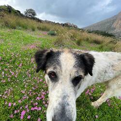 ..er hatte einen Narren an mir gefressen 😂😂😂