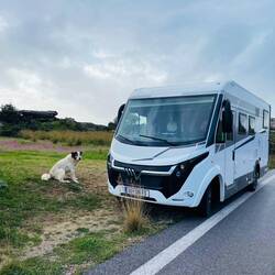 ..der Hirte ruft schon nach ihm 🐶