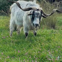 ..er war eindeutig der Star und das weiß er auch 😍