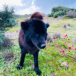 ..und wundern sich wahrscheinlich.Warum ich mich über ihr wunderschönes Umfeld so freue kann.. 😇🤩❤️‍🔥