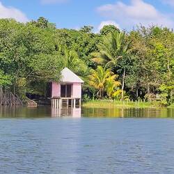 Nettes Plätzchen am Ufer ...