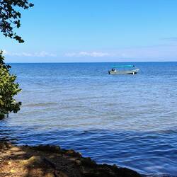 Während unser Bootsführer ein wohlverdientes Päuschen macht, ...