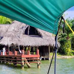 ... elegante Reiher sind immer wieder zu sehen ...