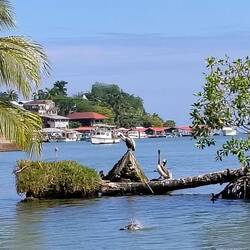 Livingston erreicht ...