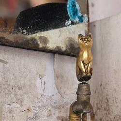 Alles im Katzendesign.