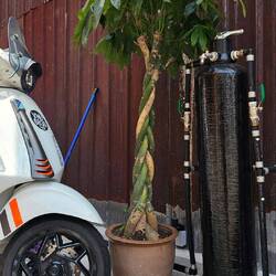 Das müssen wir zu Hause auch nachmachen.