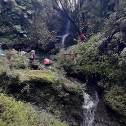 A la cascade