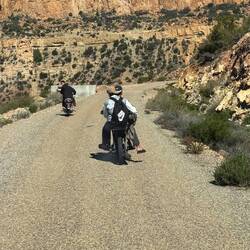 Ali's Mopedgang 😎