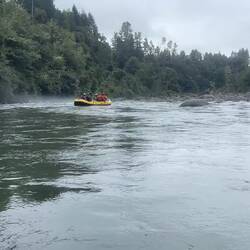 row row row your Boat, gently down the stream 🎵🎶