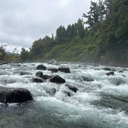 Irgendwo da kamen wir runter...