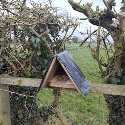 One of the many stocked bird feeders alongside the towpath