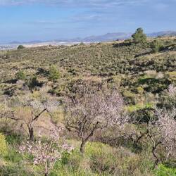 Blick nach Cartagena