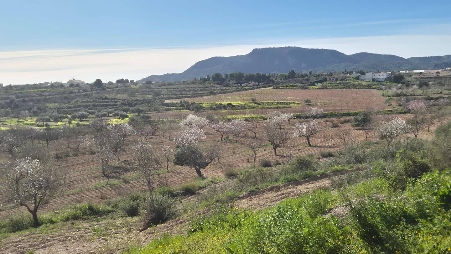Samstag bei Sturm 🚶‍♂️🐕‍🦺🚶‍♀️
