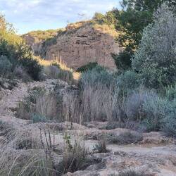 ...sehr steilen, oft senkrechten Felswänden, welches durch die erosive Kraft eines Flusses ...