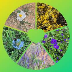 🙋‍♂️🐕‍🦺🙋‍♀️