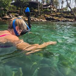 So viele bunte Fische und einen Tintenfisch