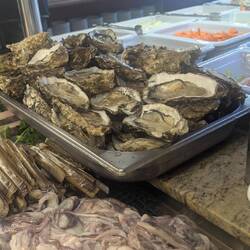 Dann vielleicht ein paar Austern