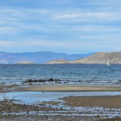 Sailboat in the wind