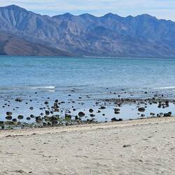 This place was originally started as a turtle sanctuary