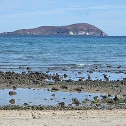 Many islands out in the bay