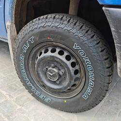 Neue Reifen für den Blaubär