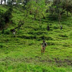 Der Abstieg zum Fluss