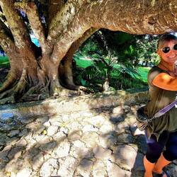 Dieser Baum hat sich der Körpergrösse der Bevölkerung angepasst😃