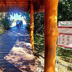 Eintritt $20/P = € 1.00