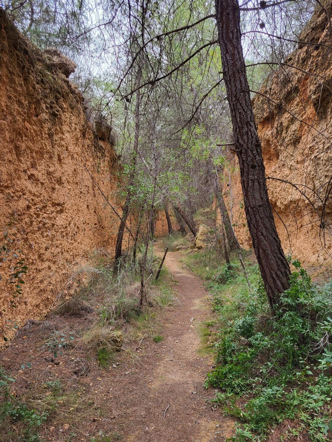 Diese Schlucht (von Menschenhand?) zieht sich über ca. 1,5 Kilometer.