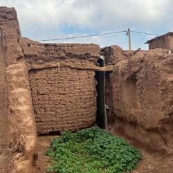 Da sieht man auch wieder gut, wie es gebaut ist