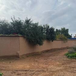 Das Haus von der Frontseite, also die vordere Hälfte ca.