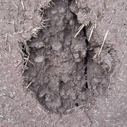 An einigen schadhaften Stellen kann man gut die einzelnen Schichten erkennen