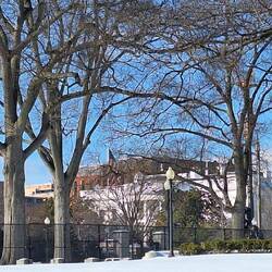 Der Sitz des Präsidenten -eine große Baustelle