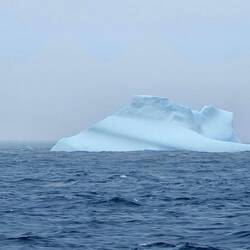 Iceberg