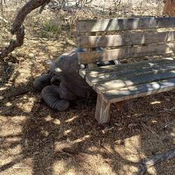 Germaine derrière le banc