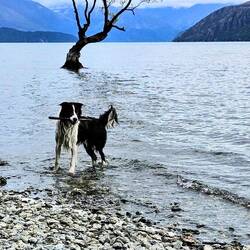 Da isch öpper i mis Foto gumpet...