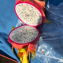 Drachenfrucht