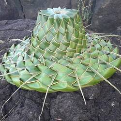 Une oeuvre d'art sur la plage