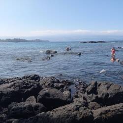 Plage de Richardson