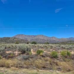 Dry veld