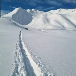 Trotz angespannter Lawinensituation wieder ein paar schöne Hänge zum Befahren!