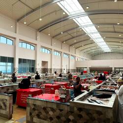 Im Fischmarkt von Seeb