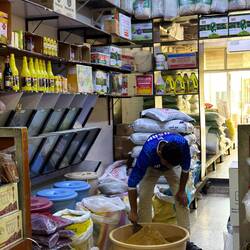 Frisch angerührte Curry-Würzmischung