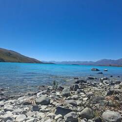 Schwumm im Lake Tekapo