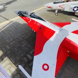 Estos aviones podrían cargar un bebé piloto