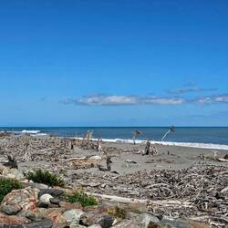 unendlich viel Treibholz