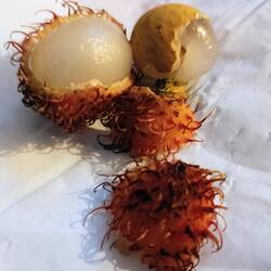 Rambutan