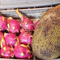 Drachenfrucht, Pitaya und Jack-Frucht als größte Frucht der Welt