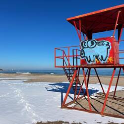 Ja, der Hinmel ist blau. After weeks. What a pleasure.